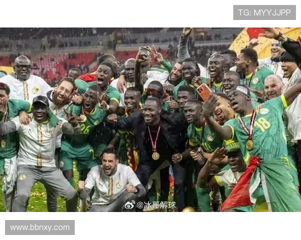 非足联敦促非洲杯筹备加快